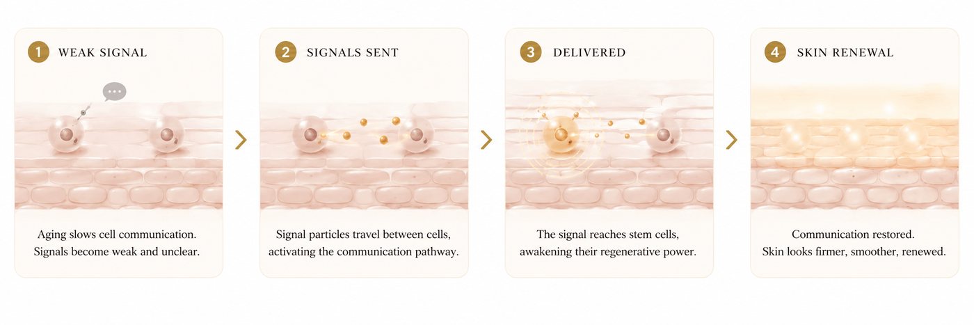 How it works — cellular signal mechanism diagram